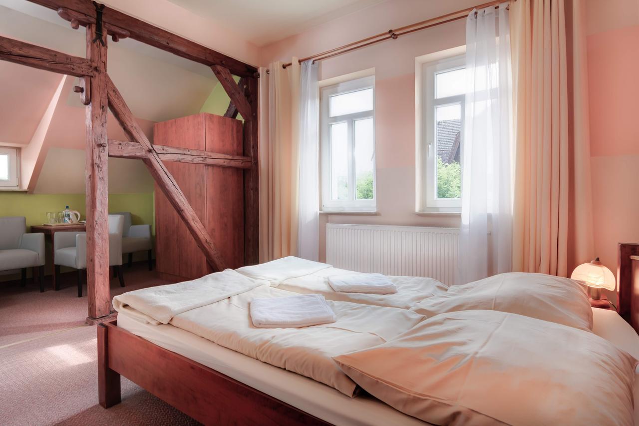 Villa Venus Kudowa-Zdrój Extérieur photo